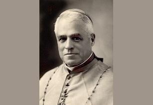 Mons. Tiberio de J. Salazar